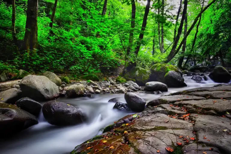nature-3-monir-ghorbani